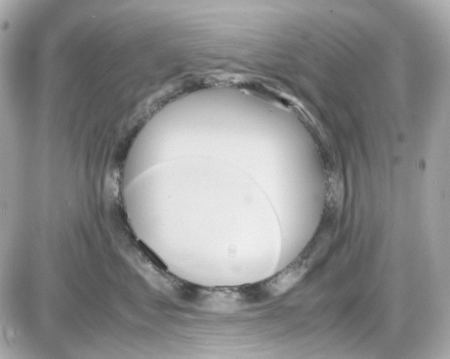 X0000085250621200704092050