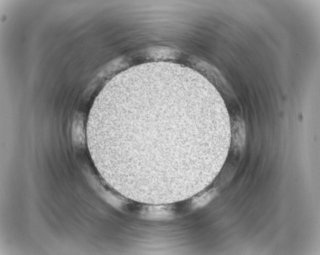 X0000085250622200704092050