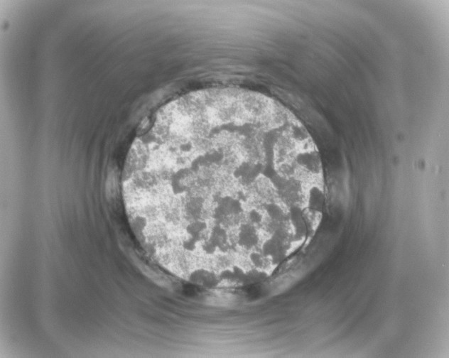 X0000085250623200704092050