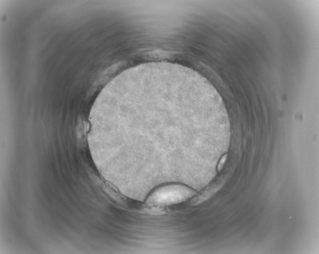 X0000085250624200704092050