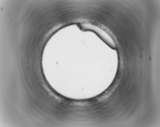 X0000085250625200704092049