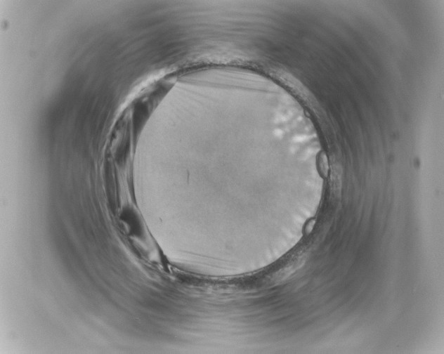 X0000085250626200704092049