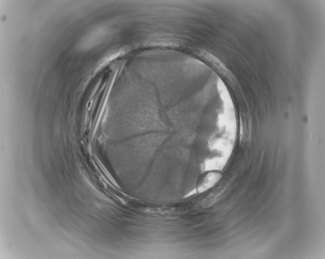 X0000085250627200704092049