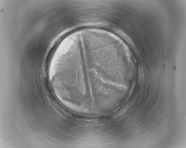 X0000085250628200704092049