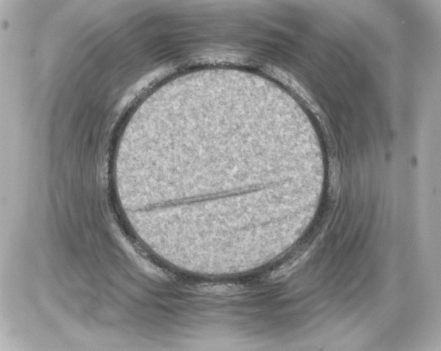 X0000085250629200704092050