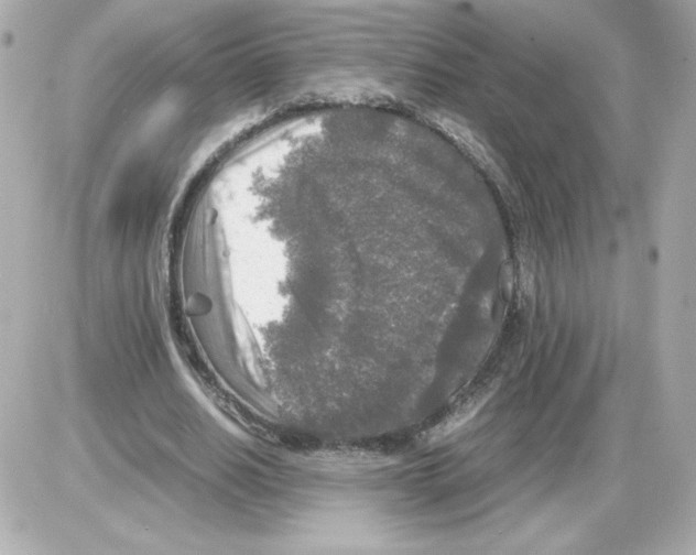 X0000085250630200704092050