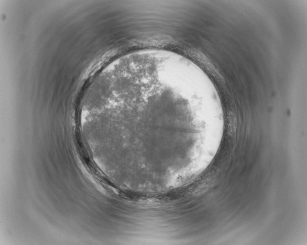 X0000085250634200704092050