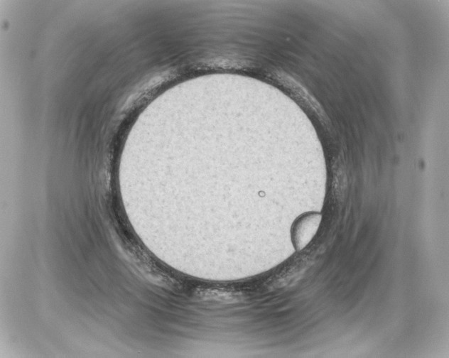 X0000085250635200704092050