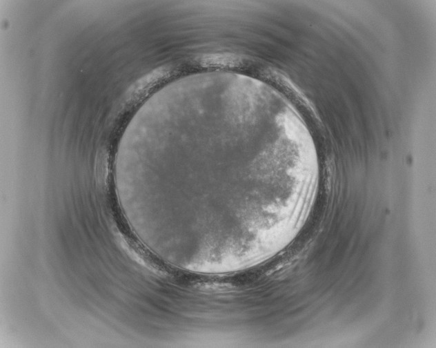 X0000085250637200704092050