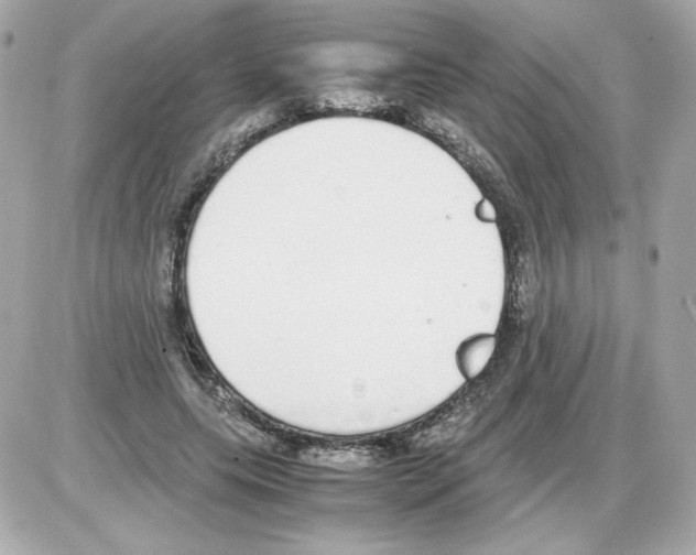 X0000085250639200704092050