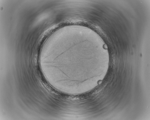 X0000085250640200704092050