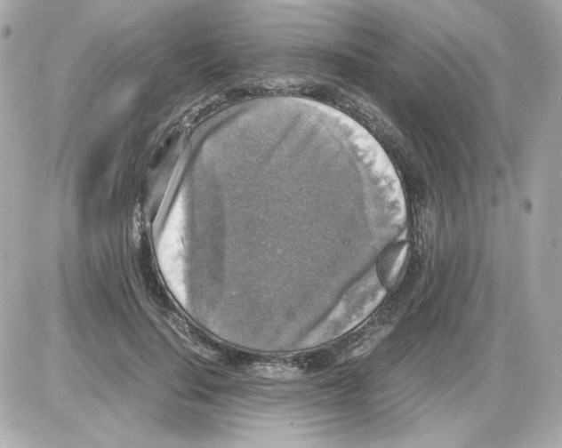 X0000085250644200704092050