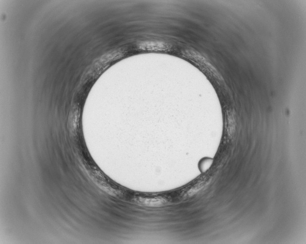 X0000085250645200704092050