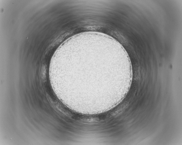 X0000085250646200704092050