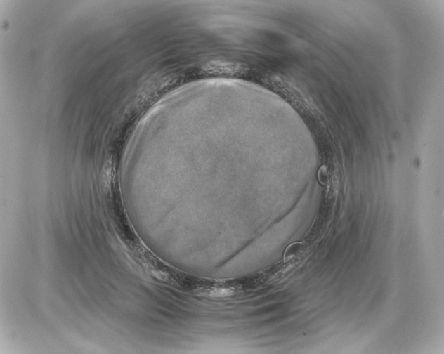 X0000085250647200704092050