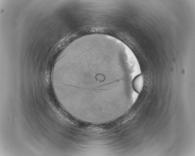 X0000085250648200704092050