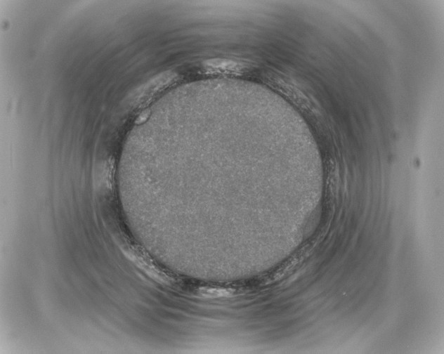 X0000085250649200704092050