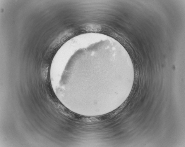 X0000085250652200704092050