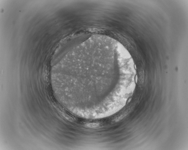 X0000085250653200704092050