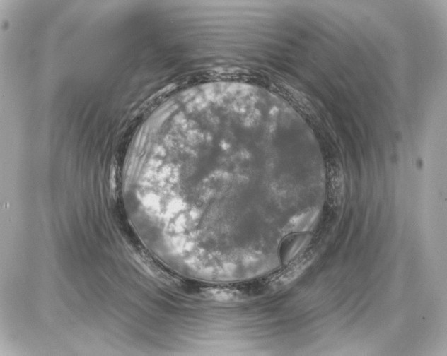 X0000085250654200704092050