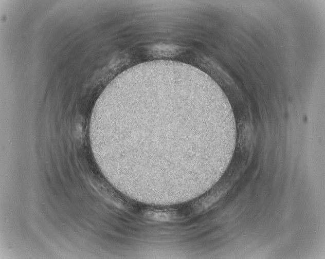 X0000085250655200704092050