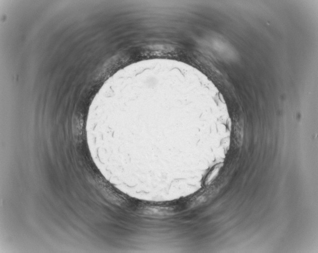 X0000085250657200704092050