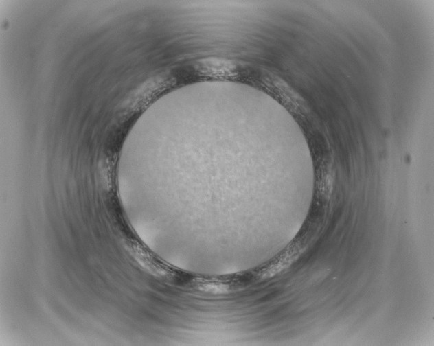 X0000085250658200704092050