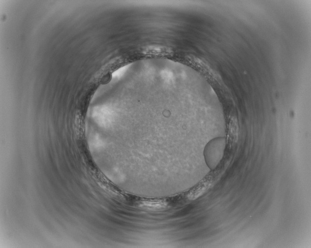 X0000085250659200704092050