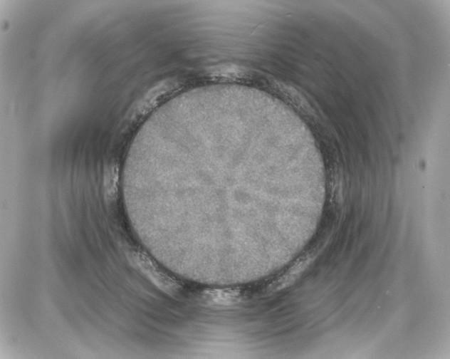 X0000085250660200704092050