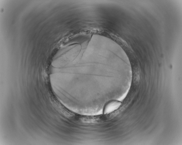 X0000085250661200704092050