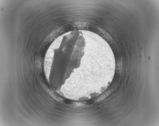 X0000085250662200704092050