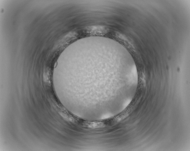 X0000085250663200704092050