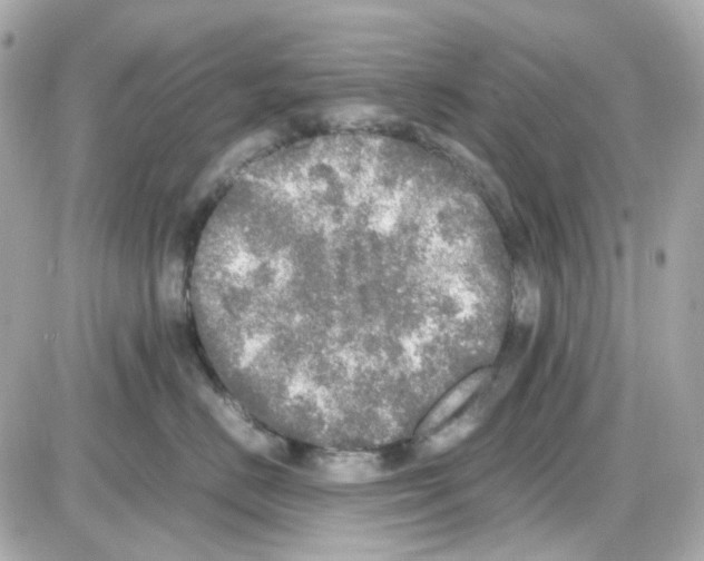 X0000085250670200704092050