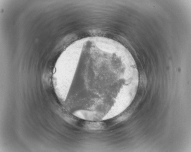 X0000085250671200704092050