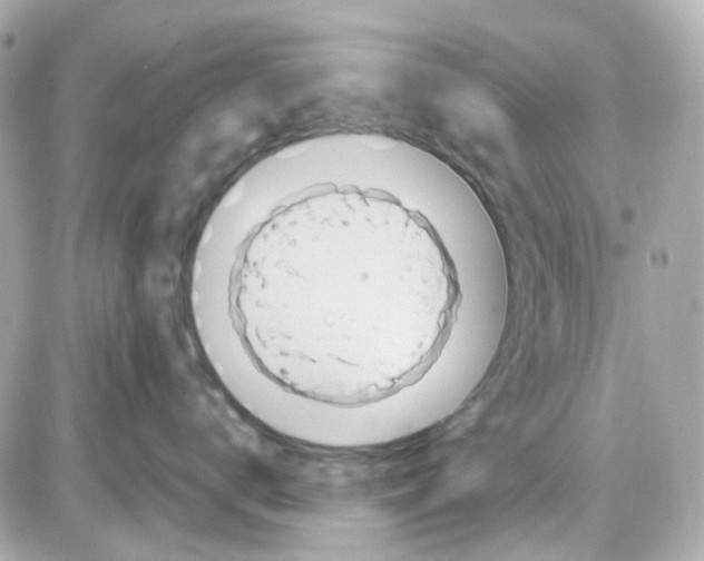 X0000085250672200704092050