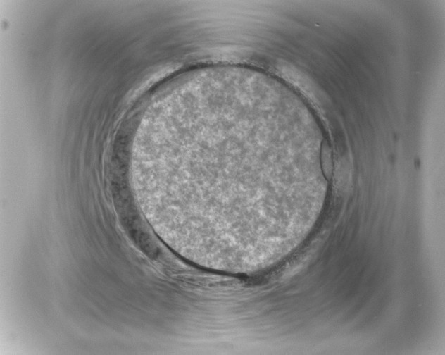 X0000085250673200704092049