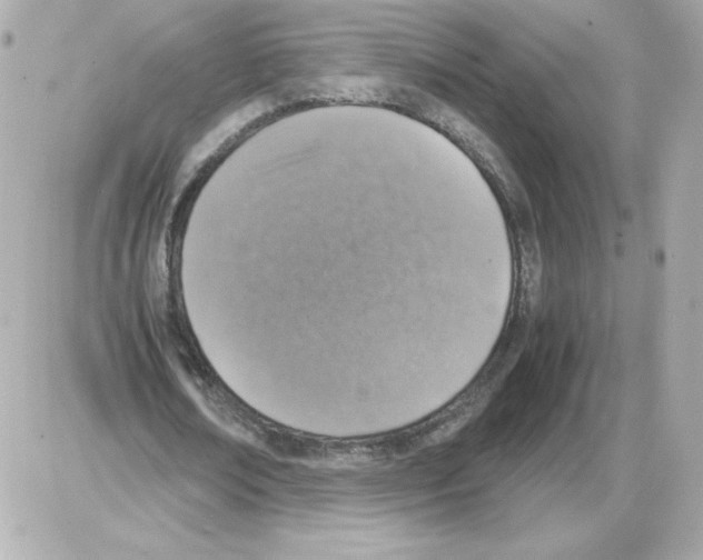 X0000085250674200704092049