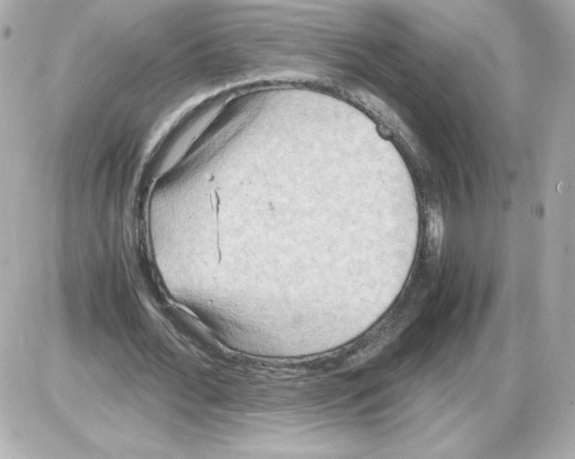 X0000085250676200704092049