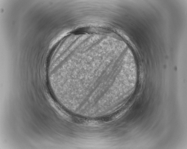 X0000085250677200704092049