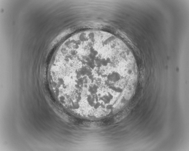 X0000085250679200704092049