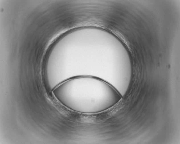 X0000085250680200704092049