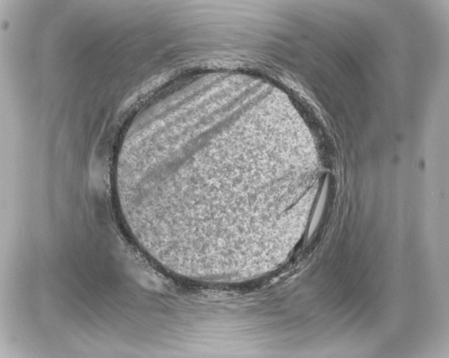 X0000085250681200704092049