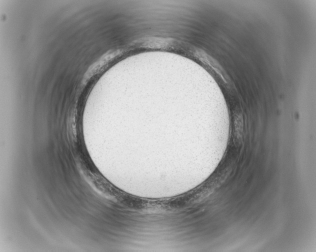 X0000085250682200704092049