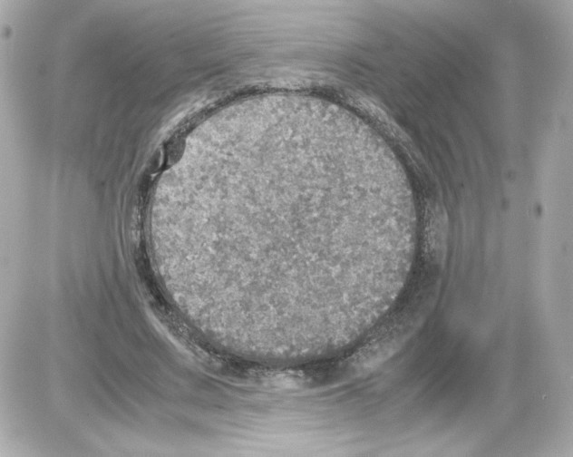 X0000085250683200704092049