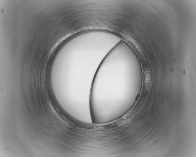 X0000085250684200704092049