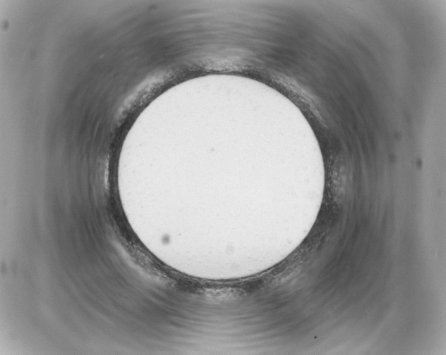 X0000085250686200704092049