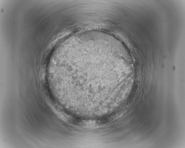 X0000085250687200704092049