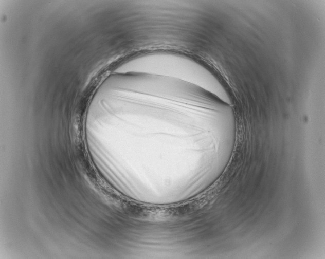 X0000085250688200704092049