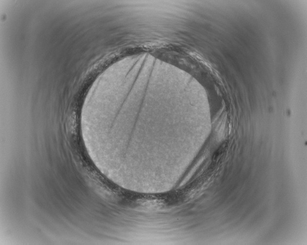 X0000085250689200704092049