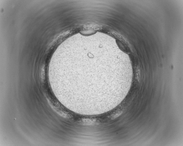 X0000085250690200704092049